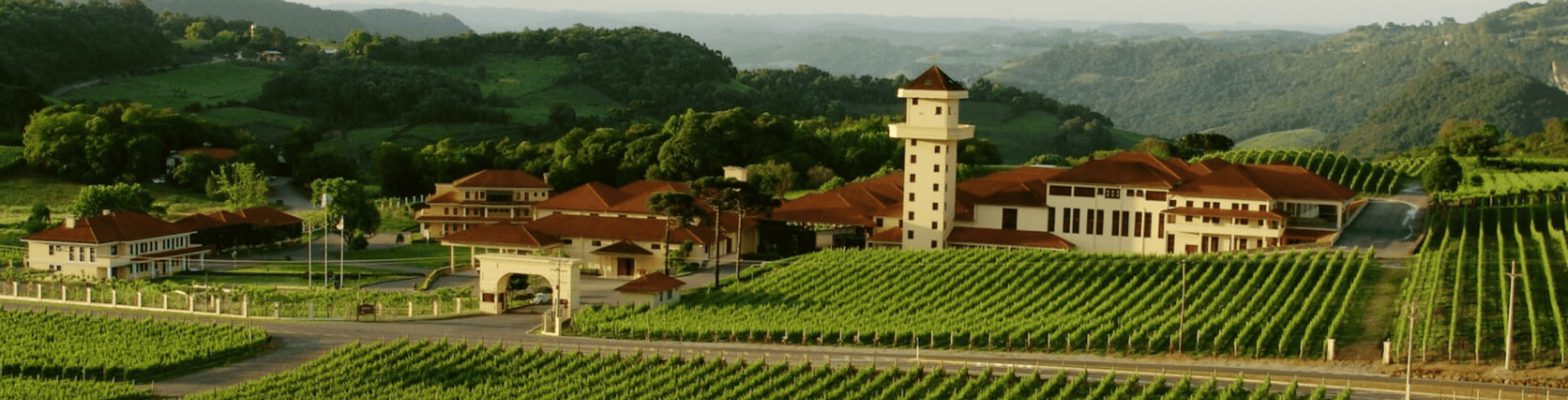 Circuito Raizes do Sul